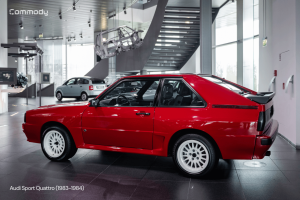 Audi Sport Quattro iš šono.